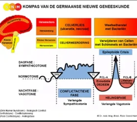 Germaanse geneeskunde